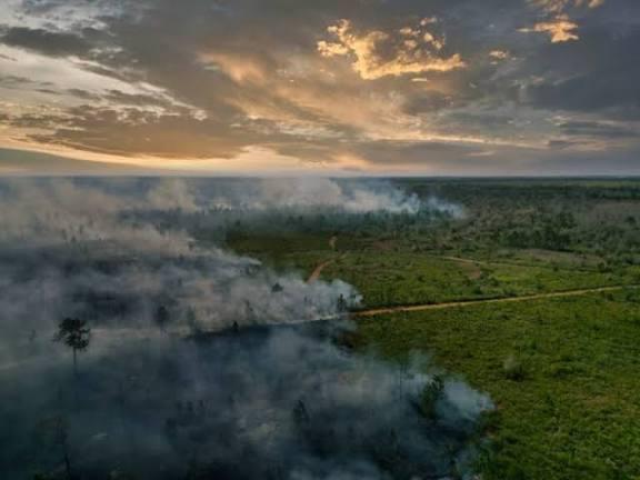 Pará registra queda histórica de 85% nos focos de queimadas entre julho e setembro de 2025