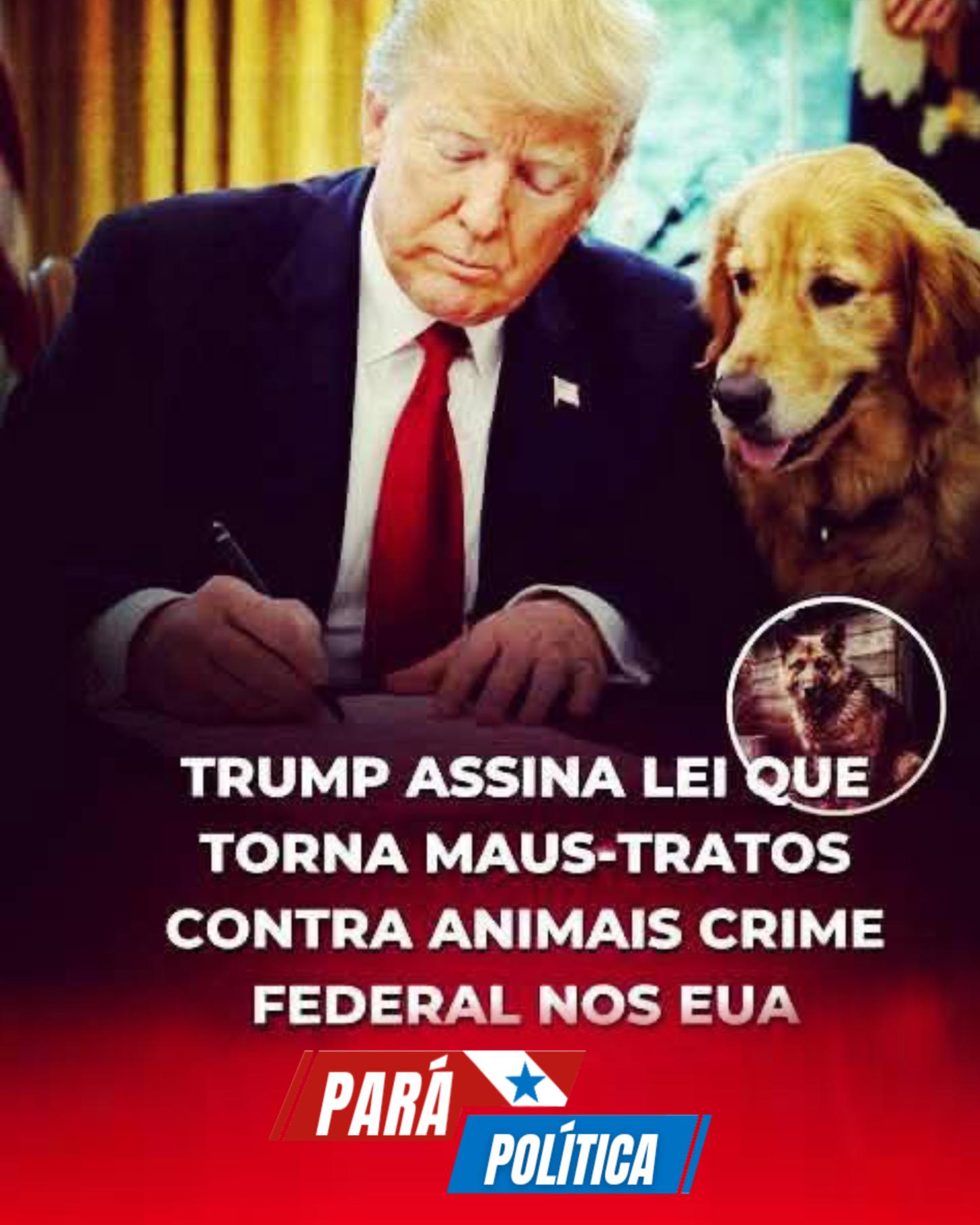 LEI HISTÓRICA NOS EUA: MAUS-TRATOS A ANIMAIS AGORA SÃO CRIME FEDERAL GRAVE