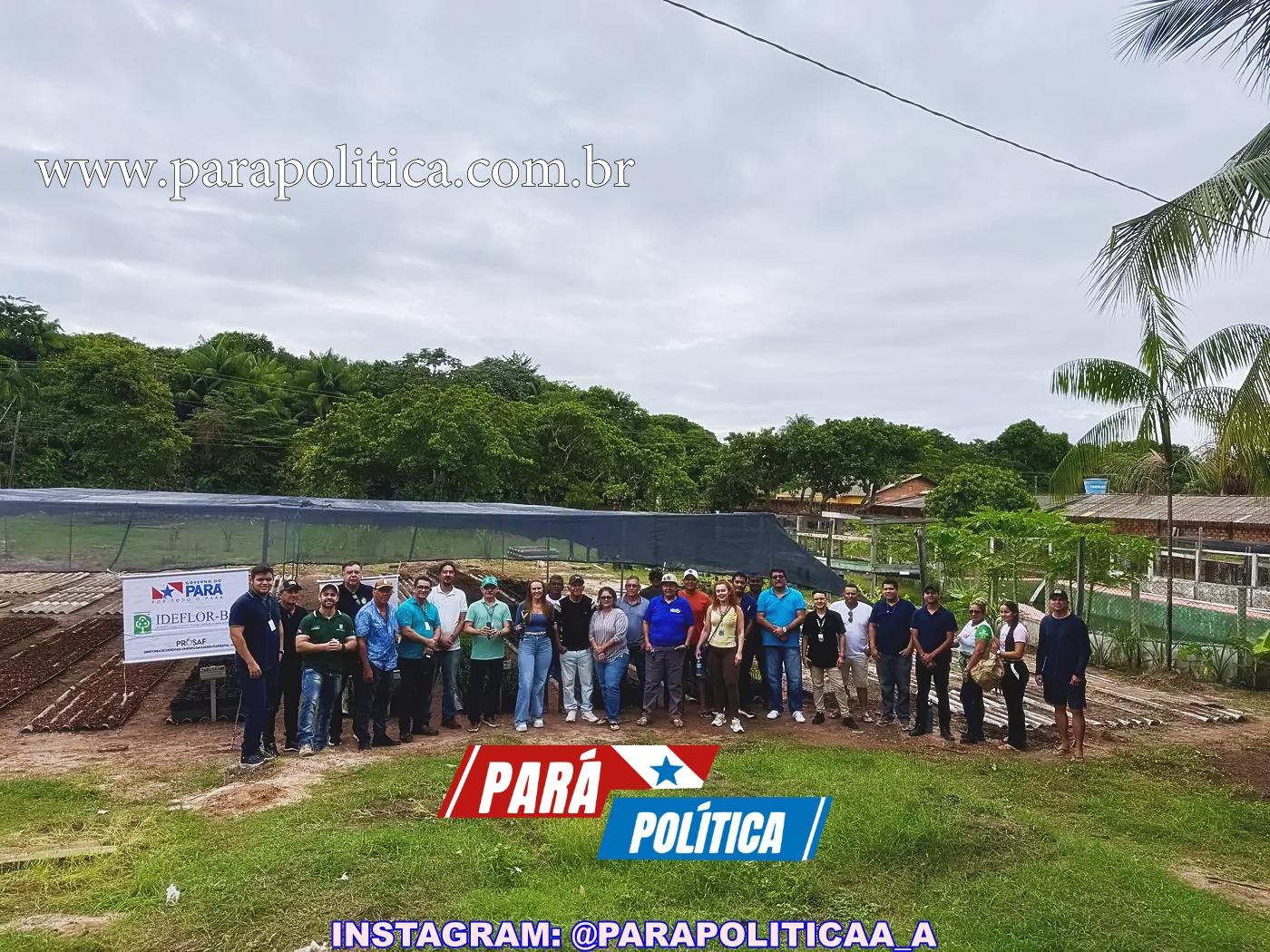 Ampliação de viveiro de mudas fortalece agricultura sustentável em Monte Alegre