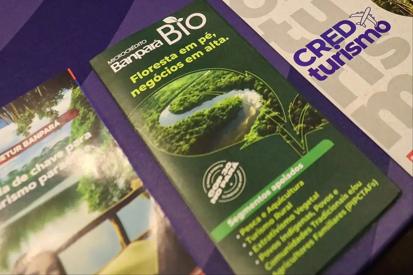 Banpará Bio garante crédito facilitado e fortalece produção sustentável no Pará