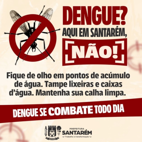 Pará Política 