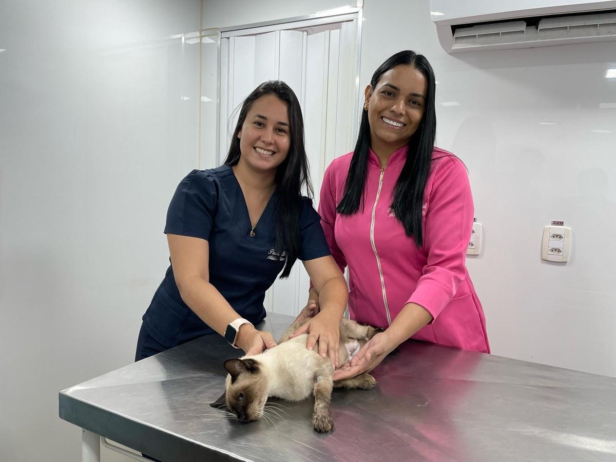Castramóvel abre 100 novas vagas para castração gratuita de gatos em Santarém