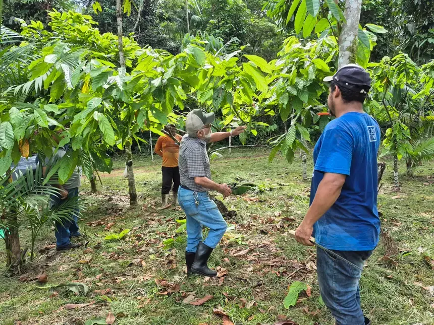 PIB do Pará cresce acima da média nacional no segundo trimestre de 2026 e atinge R$ 74,8 bilhões
