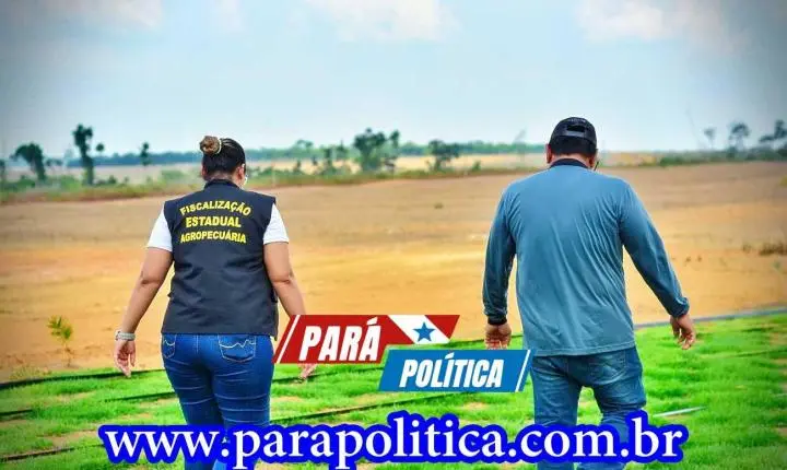 Novo PSS da Adepará oferta 16 vagas para contratação temporária no Pará